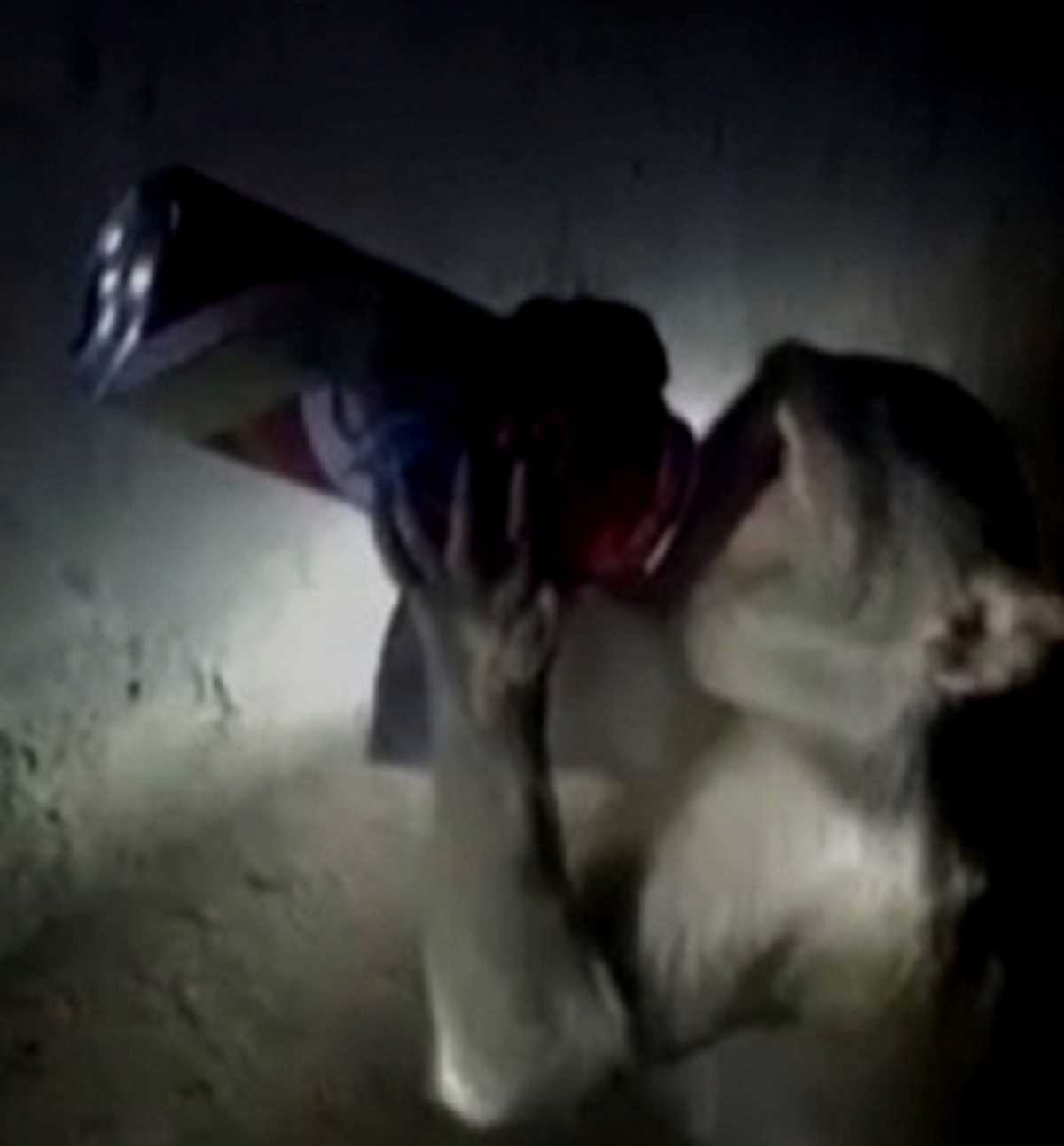 रायबरेली में शराबी बंदर ने किया शराब विक्रेताओं को परेशान