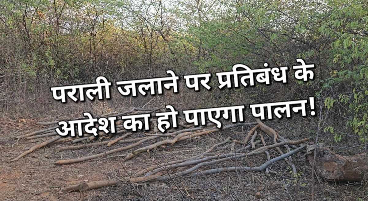 जिले में फसलों के अवशेष जलाने पर पूर्णत: प्रतिबंध, क्या अमल करा पाएगा प्रशासन!