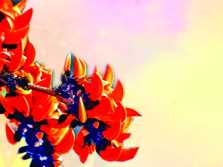 फागुन की खुशियाँ मनाएँ फागुन की खुशियाँ मनाएँ