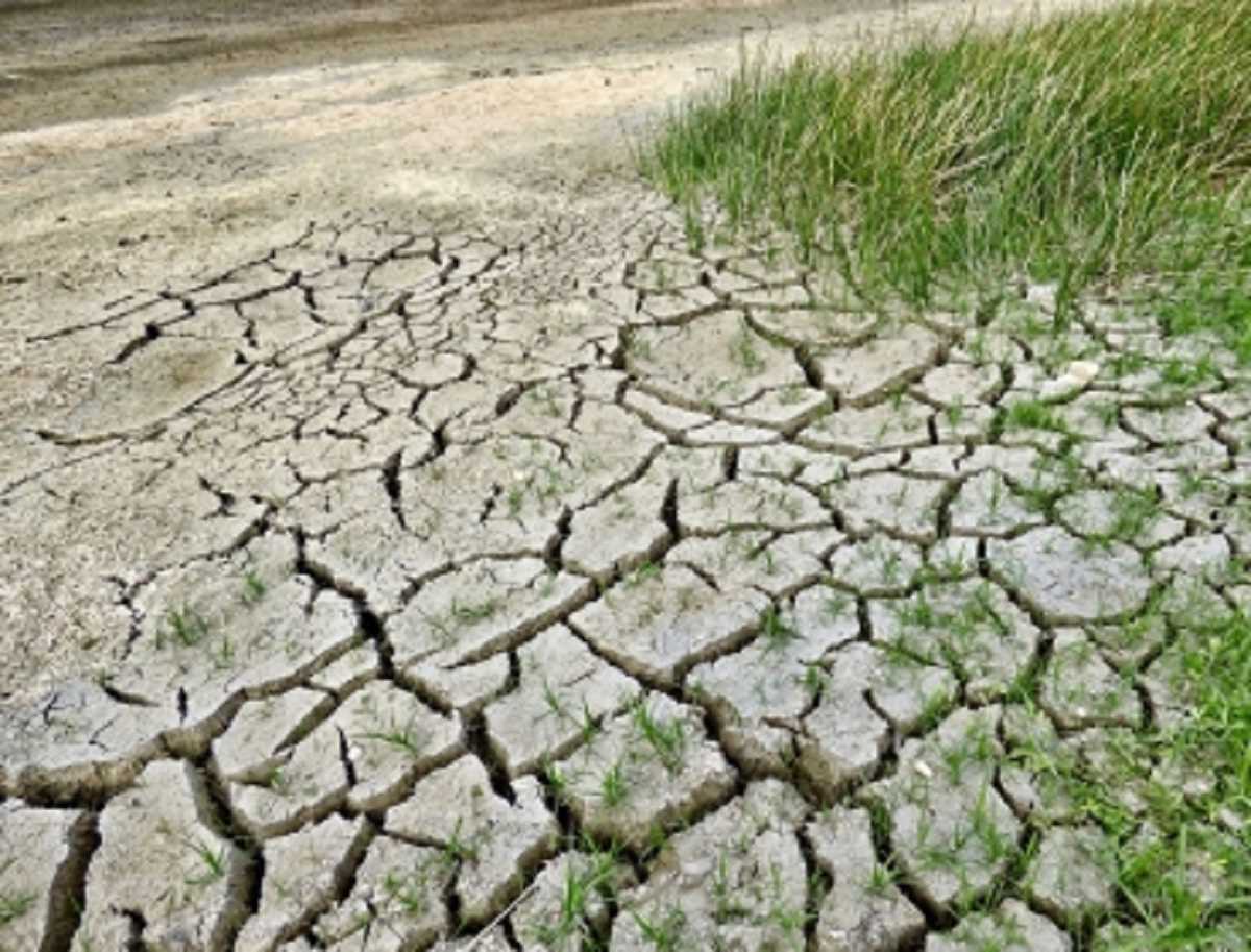 China Heatwave: चीन ने जारी किया सूखे का अलर्ट, कृषि जीवन हुआ बेहाल