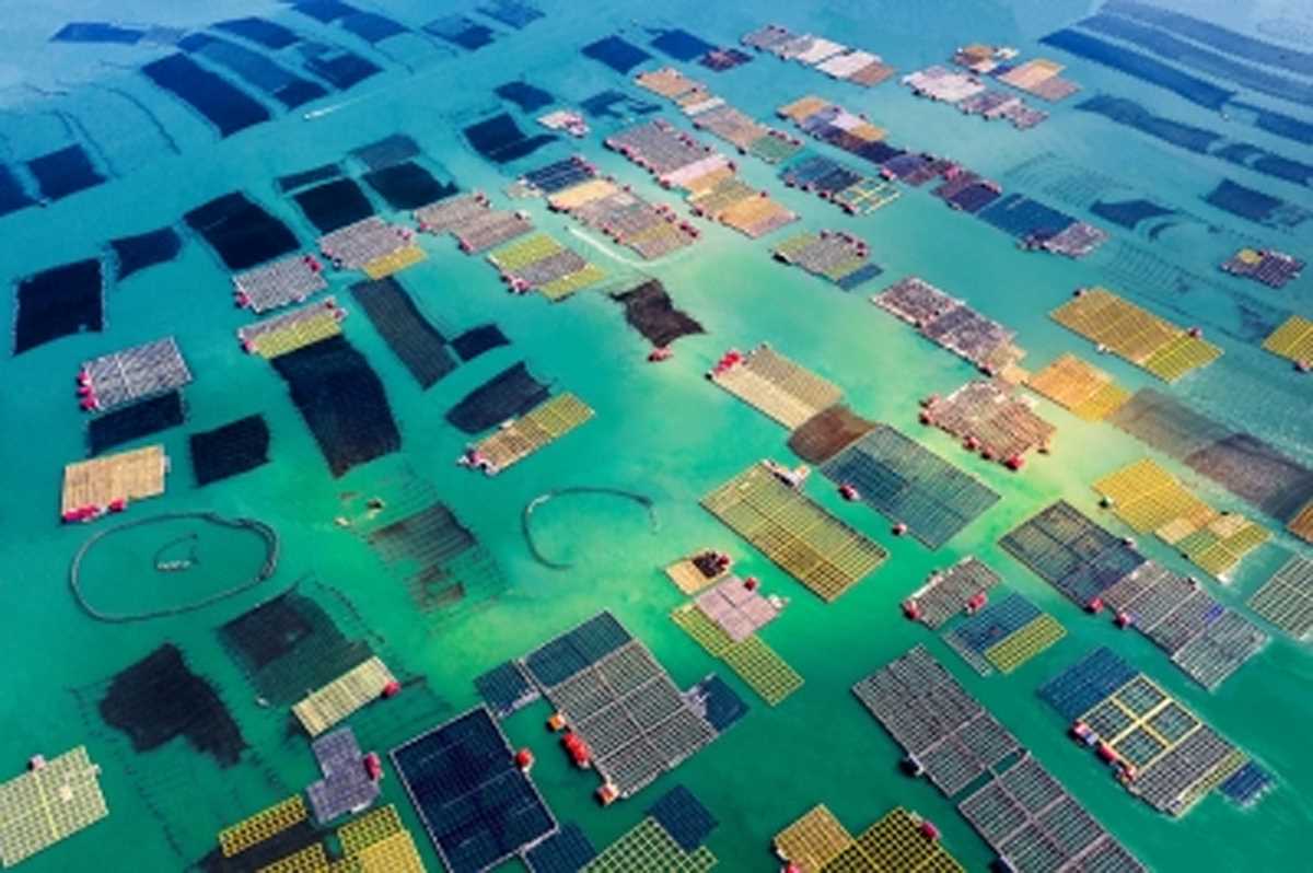 मजबूती से बहाल हो रही चीन की समुद्री अर्थव्यवस्था