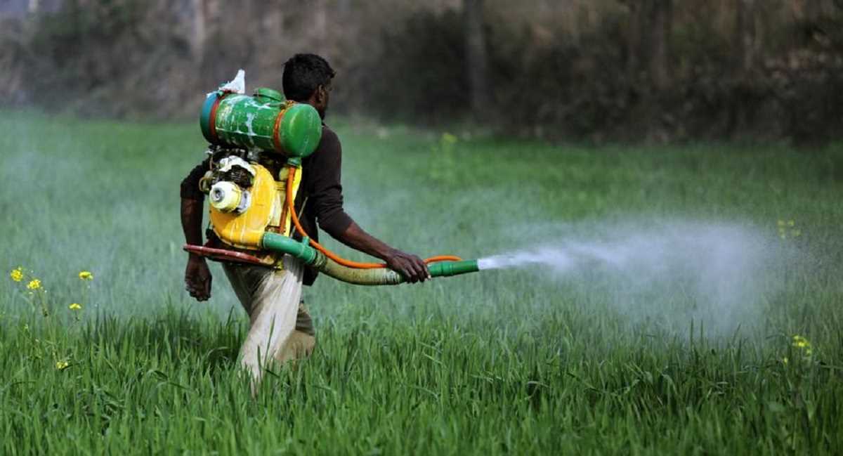 जलवायु परिवर्तन से निपटने के लिए नई किस्में आजमा रहे हैं भारतीय किसान