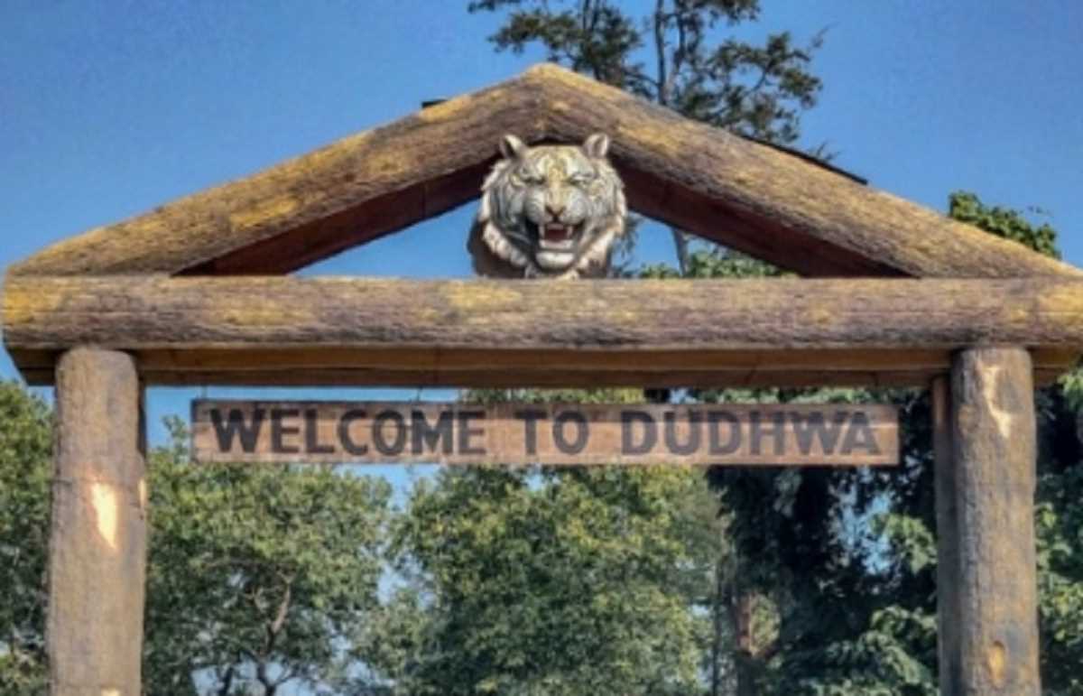 सैलानियों के लिए आज से खुलेगा दुधवा, पहले दिन घूमेंगे स्कूली बच्चे भी