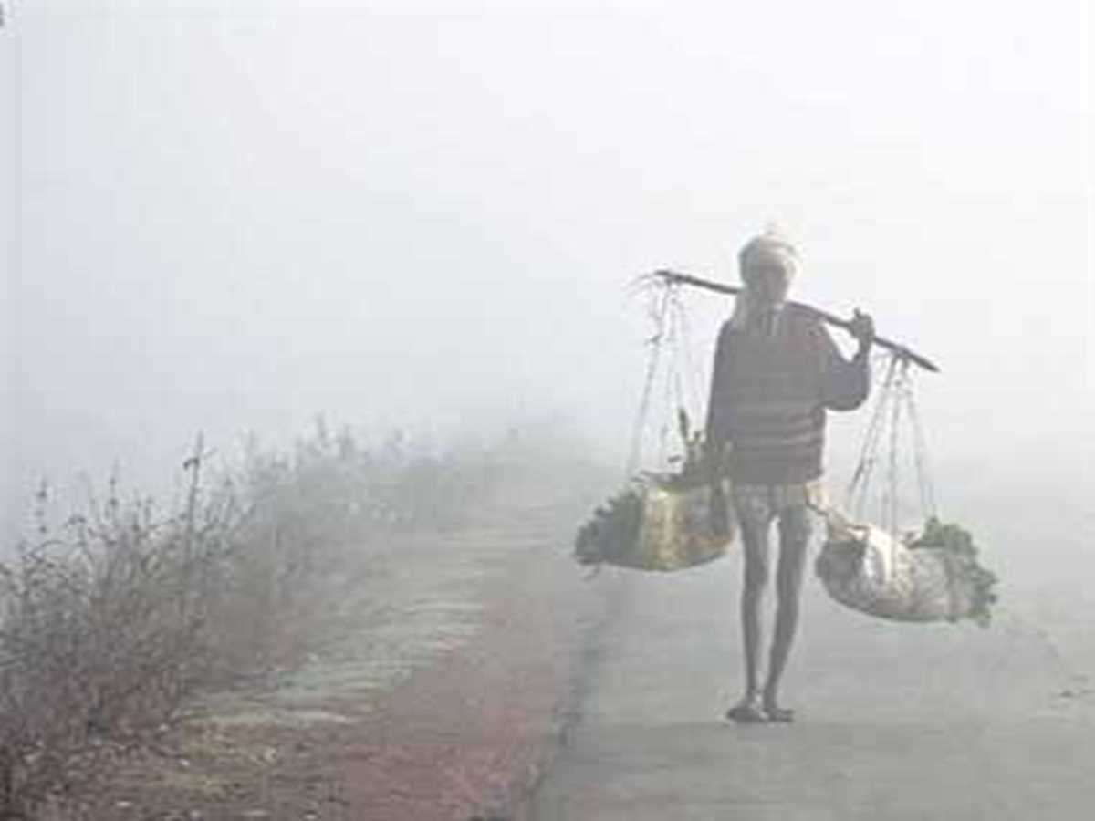 छत्तीसगढ़ में शुरू होगी कंपकंपाने वाली ठंड, कोहरा व शीतलहर का भी दिखाएगी असर