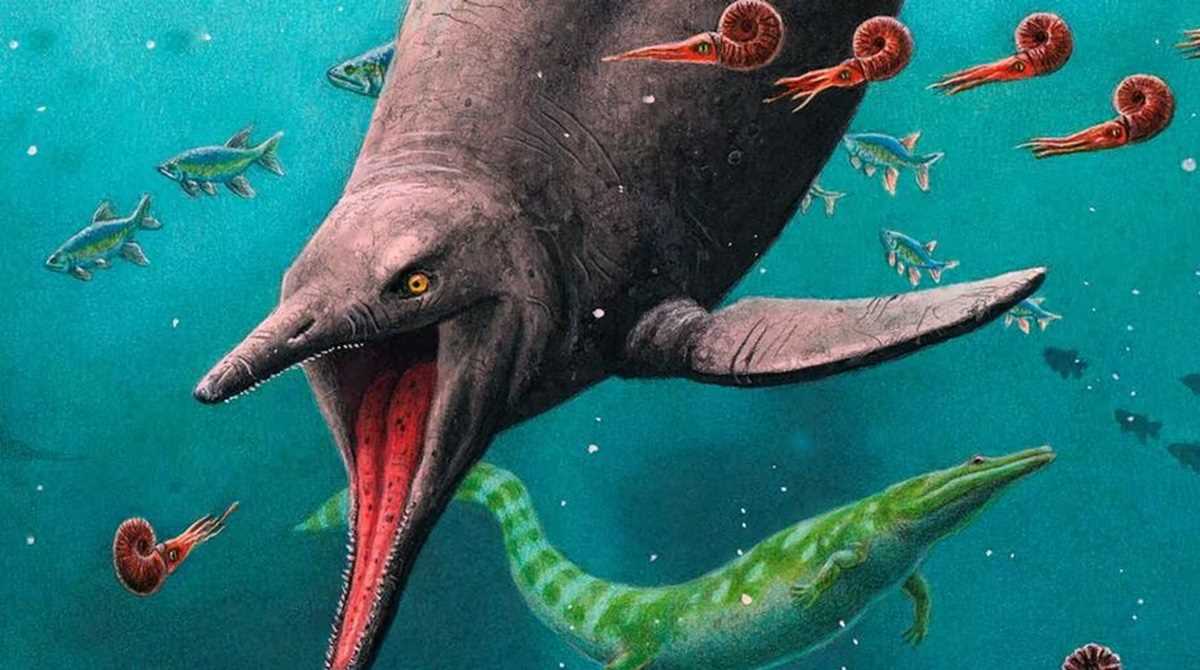 12 साल की बच्ची ने खोजा दैत्याकार जबड़ा