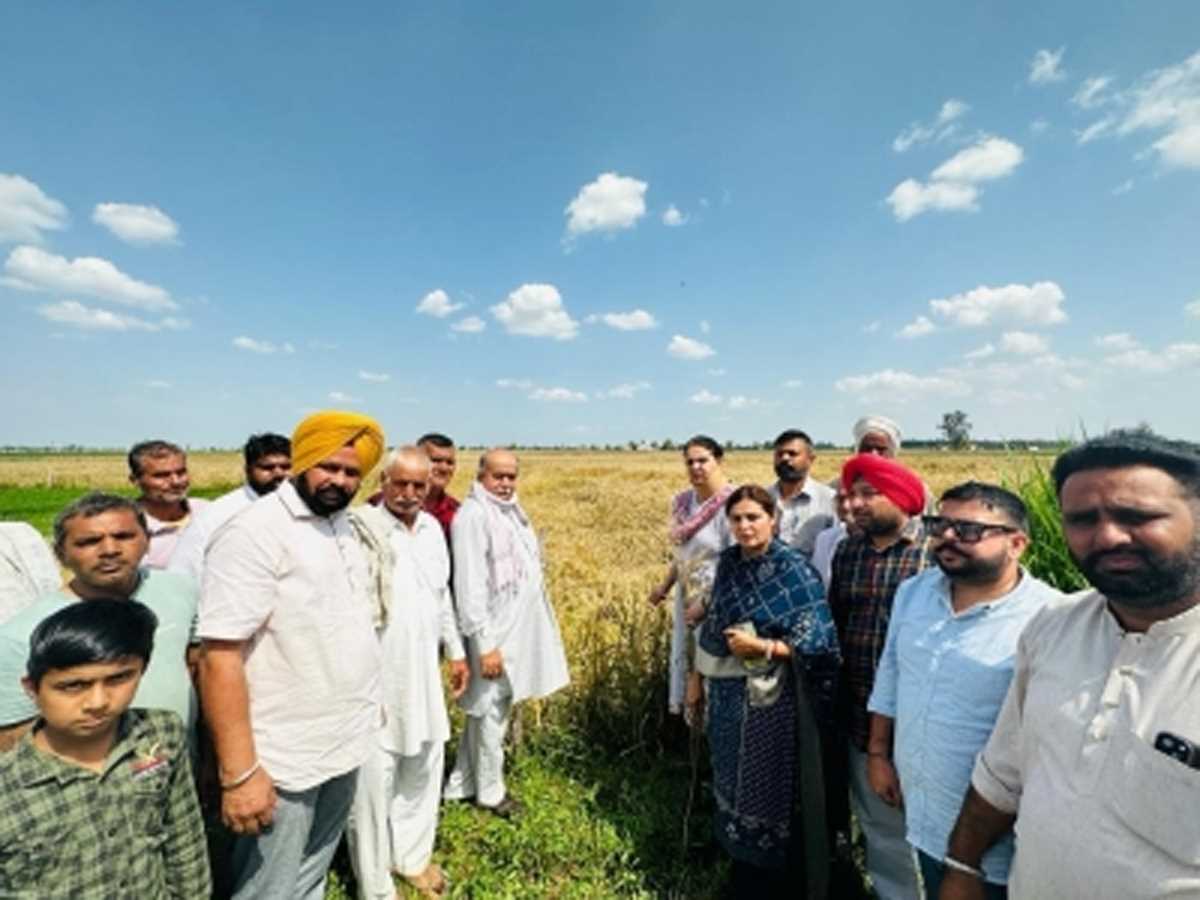 अमरिंदर ने समयबद्ध फसल क्षति राहत मांगी, सुखबीर ने प्रति एकड़ 50 हजार रुपये की मांग की