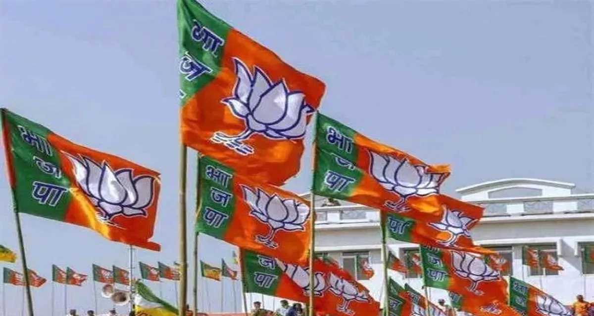 बिहार नगर निकाय चुनाव में भाजपा समर्थकों का दबदबा