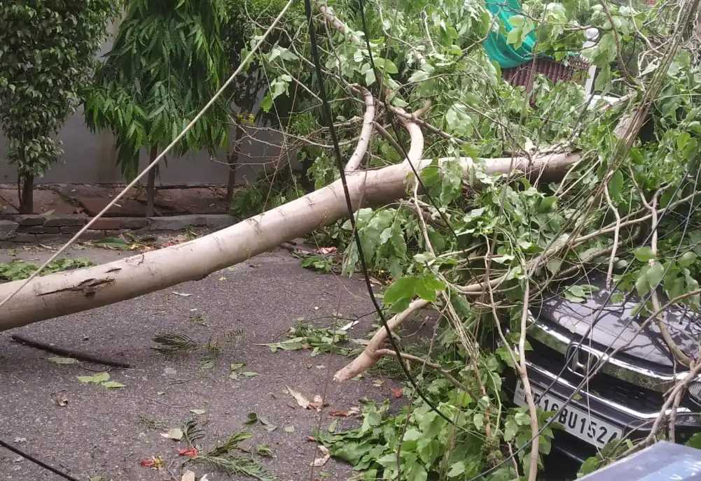 नोएडा में दिखा तेज हवा का कहर, कार पर गिरा पेड़ नोएडा में दिखा तेज हवा का कहर, कार पर गिरा पेड़