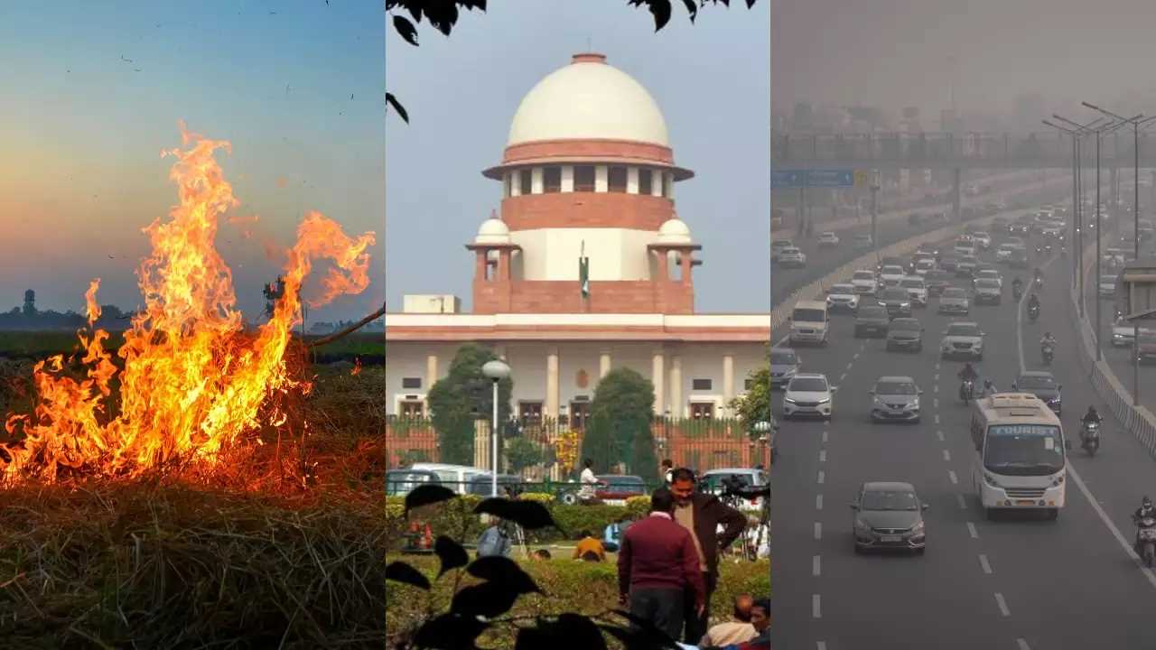 केंद्र सरकार का बड़ा फैसला, पराली जलाने वालों पर लगेगा अब दोगुना जुर्माना