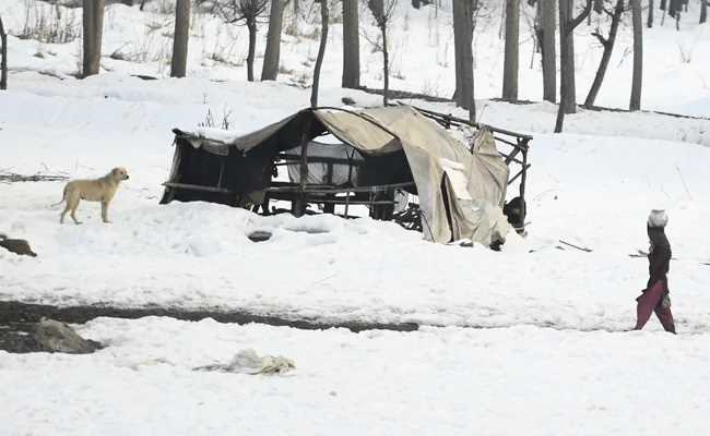 श्रीनगर का न्यूनतम तापमान फिर से माइनस में पहुंचा