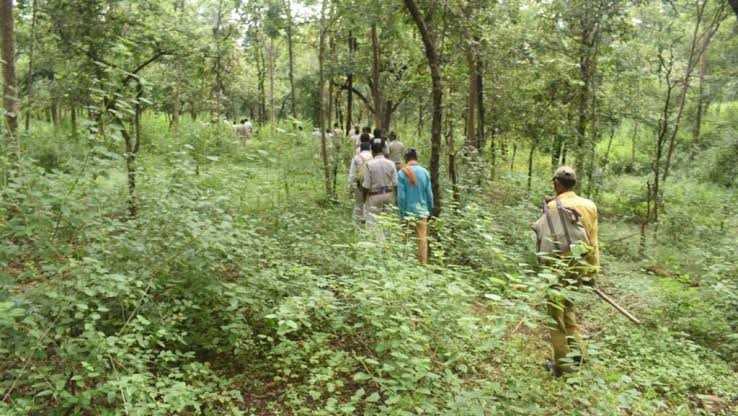 कम्पनियों को जंगलों में प्रवेश देने से भयभीत वन निवासी