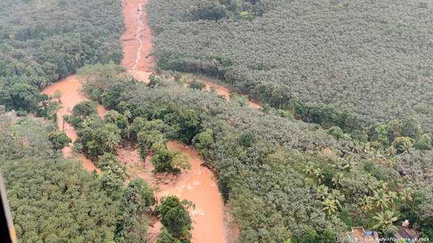 ठीक नहीं है भारत में जंगलों की सेहत