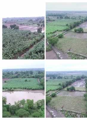 गुजरात में बारिश के कहर से 50 हज़ार हेक्टेयर की फसल बर्बाद