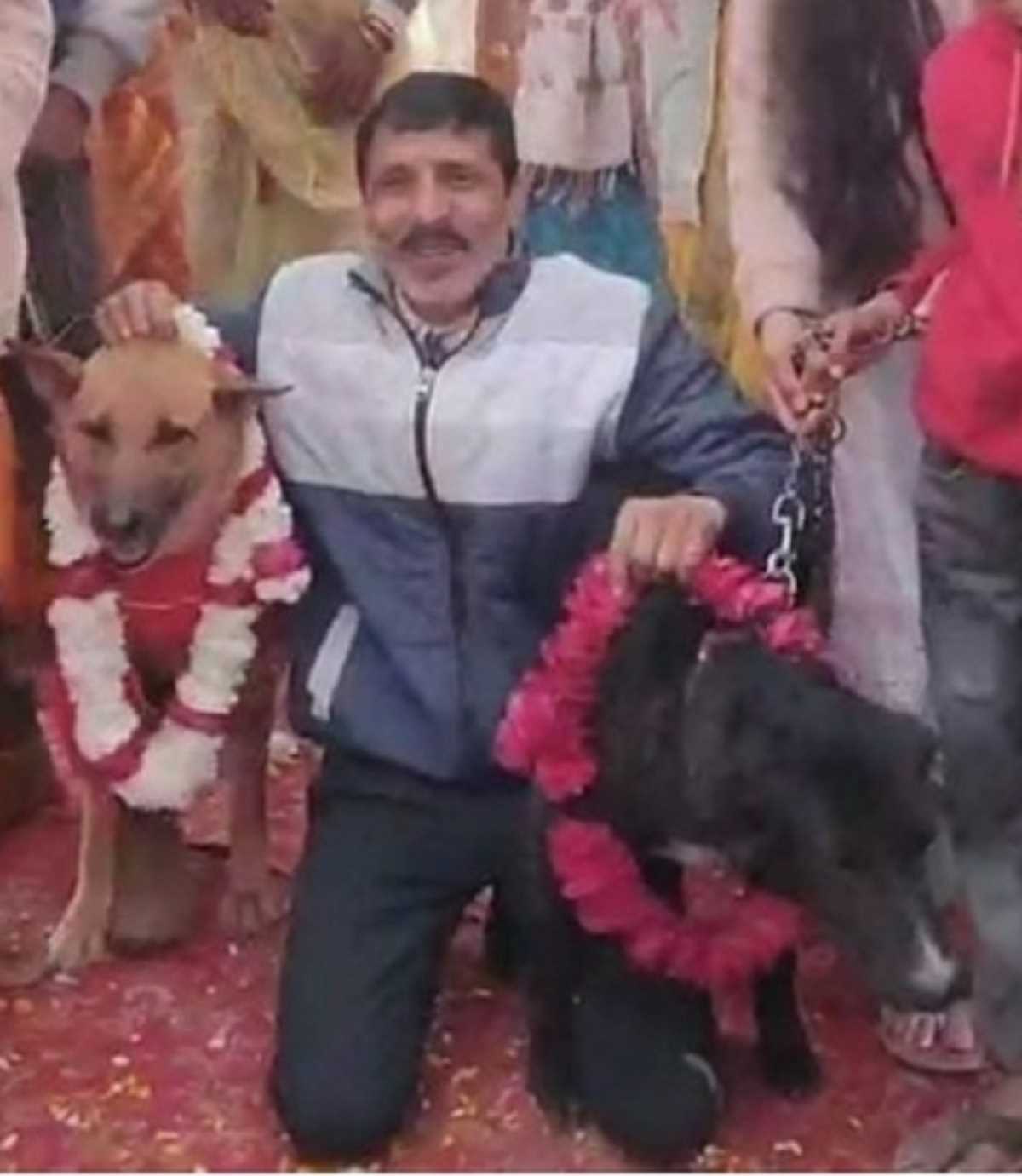 इक-दूजे के हुए टॉमी और जॉली, हुई जयमाला, लिए सात फेरे