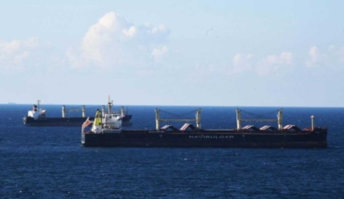 यूक्रेन से 5 लाख टन से अधिक अनाज निर्यात किया गया : संयुक्त राष्ट्र