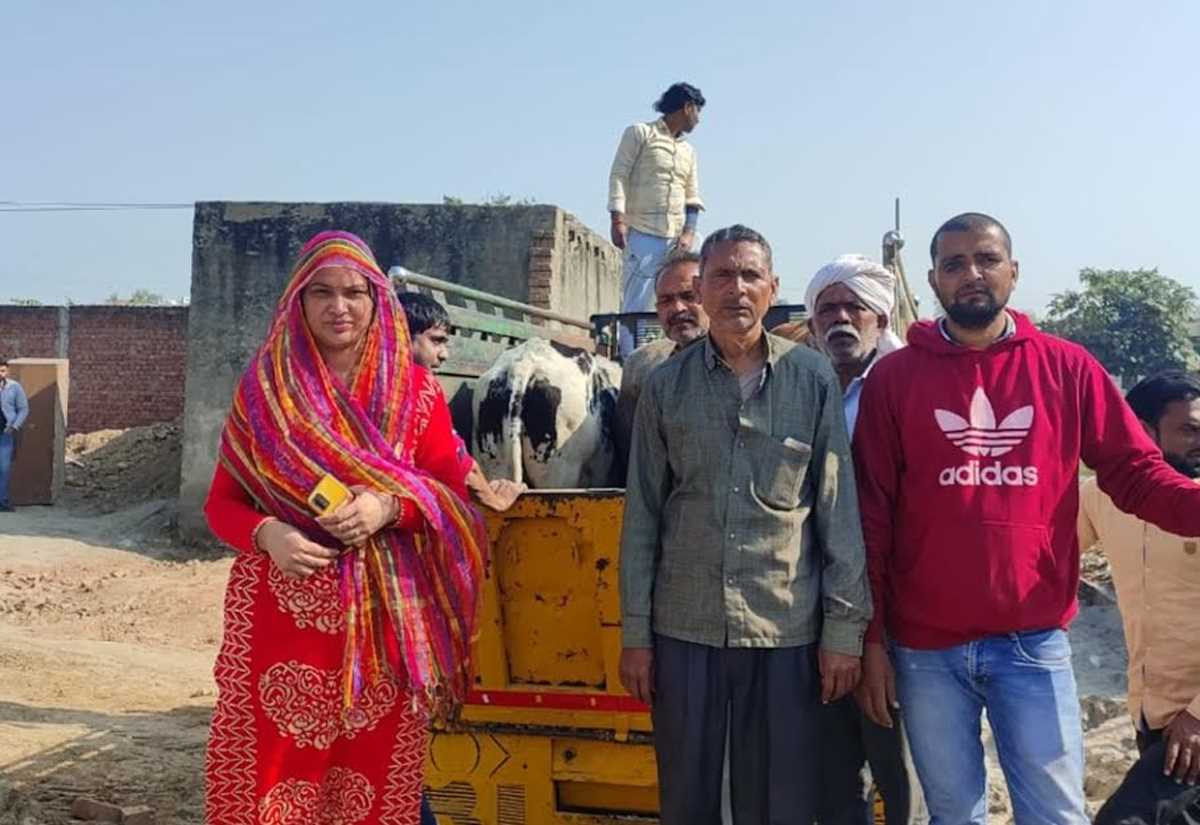 बेसहारा पशुओं को पहुंचाया गौशाला