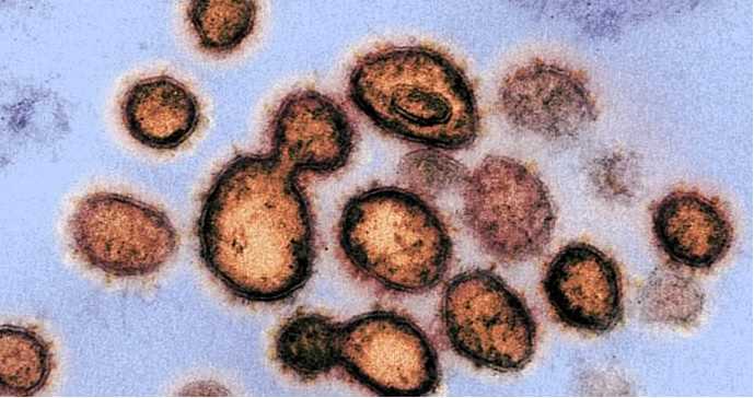 जिंदगी का सबसे बड़ा झटका: वैज्ञानिकों को ऐसे मिला ओमिक्रॉन