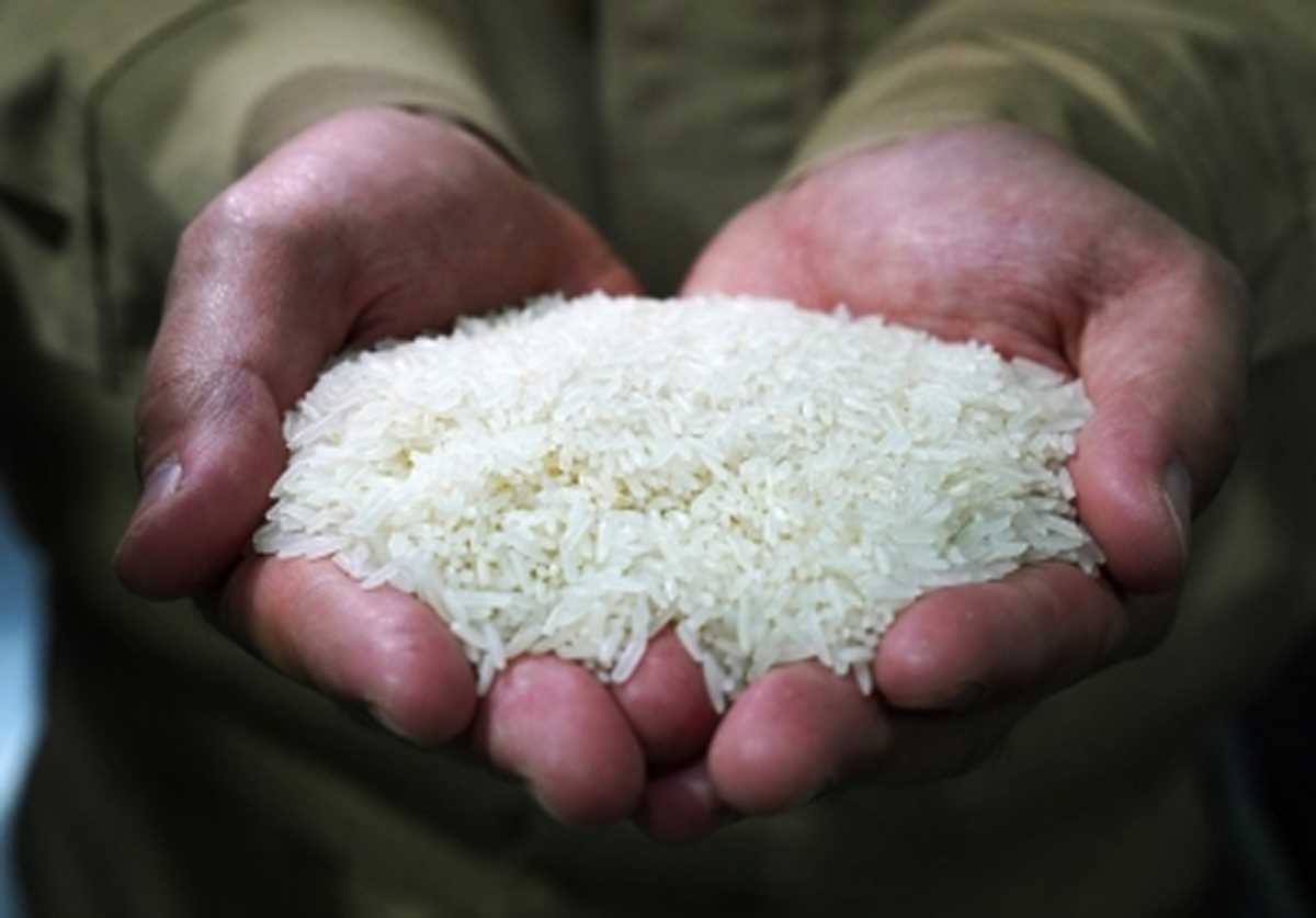 तमिलनाडु एनसीसीएफ से खरीदेगा छह लाख टन चावल