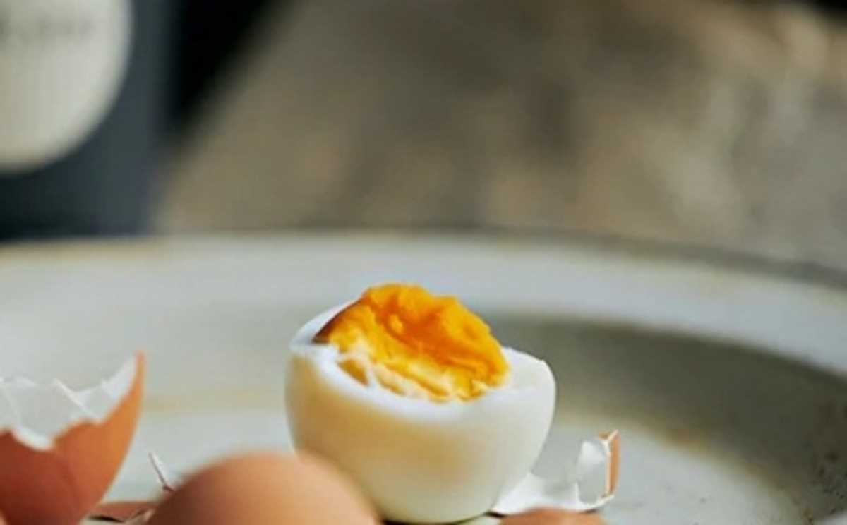 तमिलनाडु : आदिवासी स्कूली बच्चों को अंडे नहीं दिए जाने पर हुआ विरोध प्रदर्शन