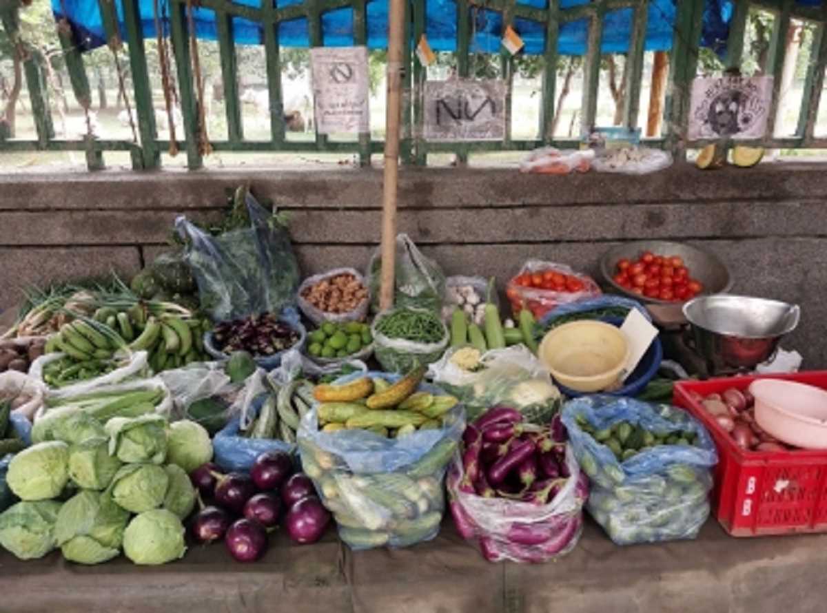 त्योहारी सीजन में सब्जियों के दाम आसमान पर, बढ़ी कीमत के चलते लोगों का बजट बिगड़ा
