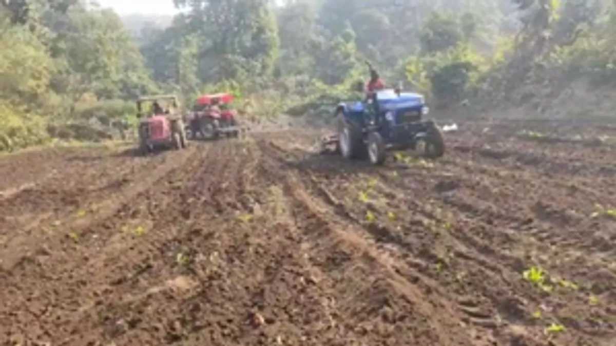 झारखंड में 15 दिनों के भीतर पुलिस ने 100 एकड़ से ज्यादा अफीम की खेती की नष्ट