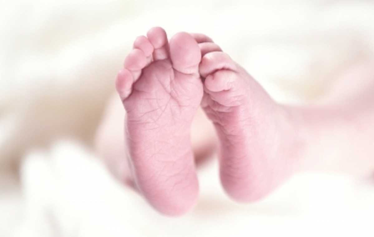 नकली बच्चा गोद लेने के रैकेट का भंडाफोड़, ऐसे हुआ खुलासा नकली बच्चा गोद लेने के रैकेट का भंडाफोड़, ऐसे हुआ खुलासा