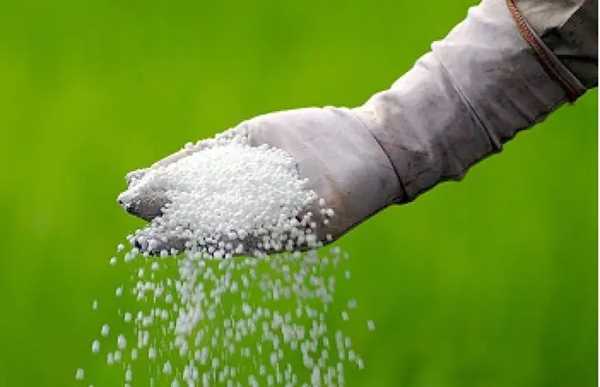 भारत उर्वरक की खरीद के लिए श्रीलंका को 55 मिलियन डॉलर एलओसी प्रदान करेगा