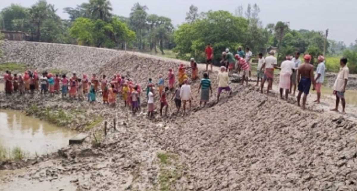 मनरेगा के तहत 11.37 करोड़ परिवारों को मिला रोजगार