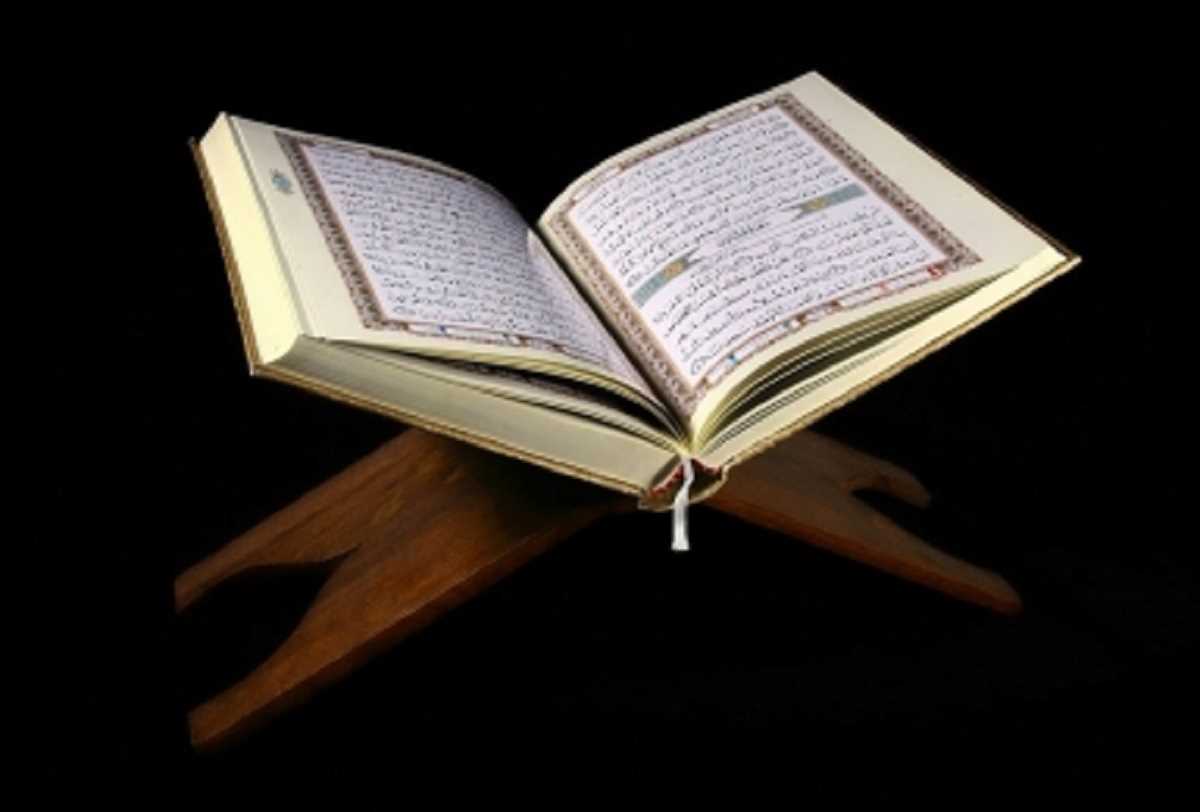 पाकिस्तान ने की स्वीडन में कुरान जलाए जाने की निंदा पाकिस्तान ने की स्वीडन में कुरान जलाए जाने की निंदा