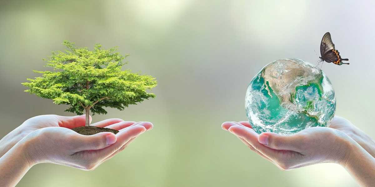 कैसे जीवन से बचेगा पर्यावरण