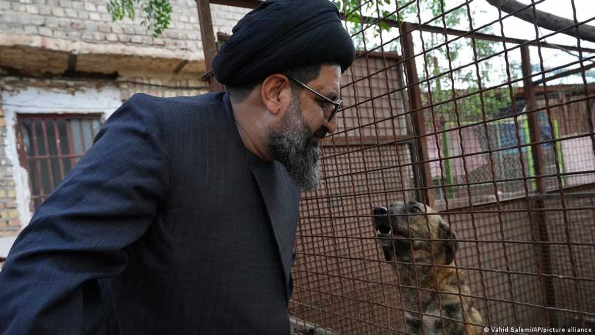 ईरान में आवारा कुत्तों का ख्याल रखता है एक मौलाना