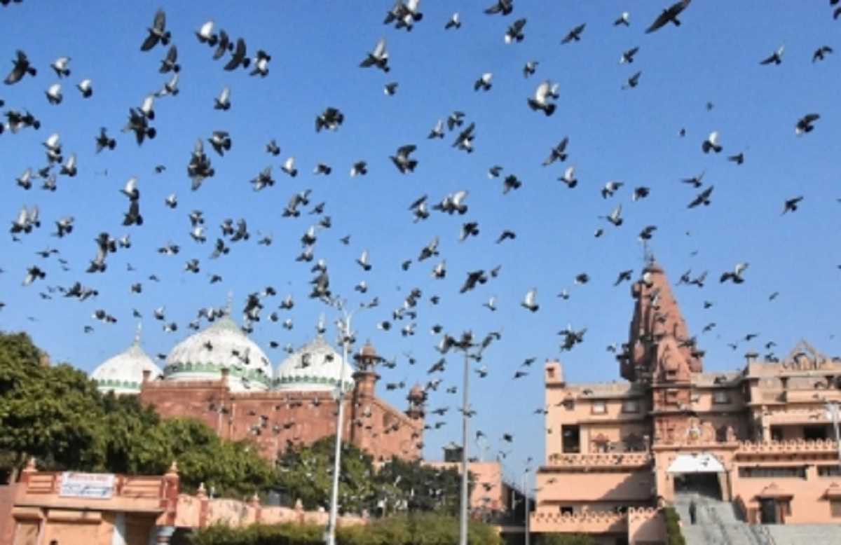 मथुरा कोर्ट ने दो जनवरी से शाही ईदगाह का सर्वे करने का दिया आदेश मथुरा कोर्ट ने दो जनवरी से शाही ईदगाह का सर्वे करने का दिया आदेश