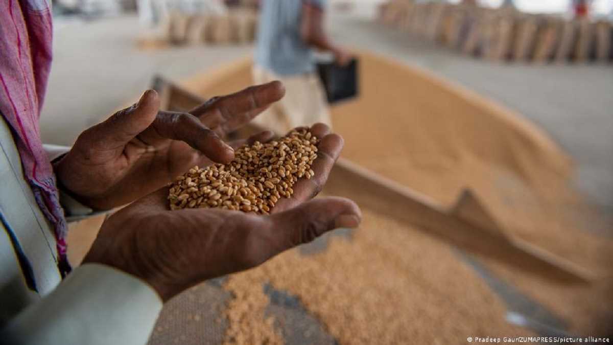 81 करोड़ लोगों को मुफ्त अनाज देने के मायने