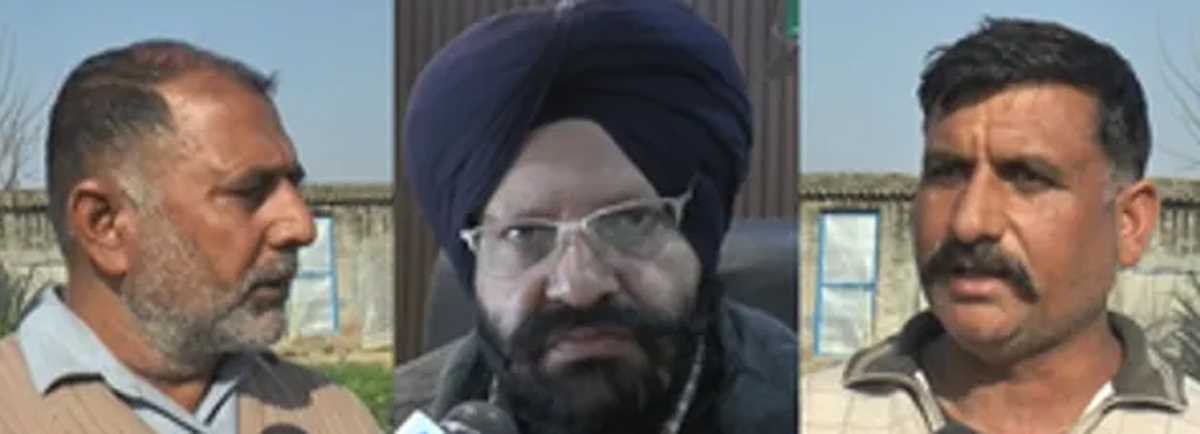 जम्मू-कश्मीर : नई तकनीक से विदेशी सब्जी उगा रहे सांबा के किसान, कृषि विभाग से मिल रही मदद