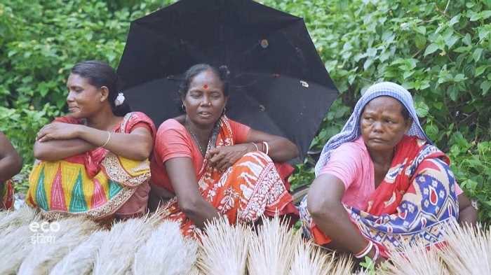 आदिवासी राष्ट्रपति चुन सकता है भारत, कब रुकेंगे आदिवासियों पर अत्याचार