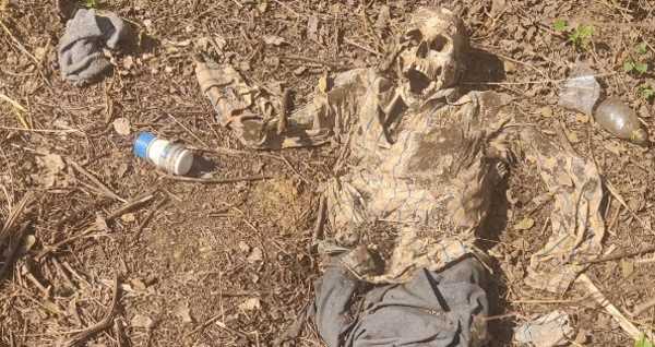 मयूर स्कूल के पीछे गुरुवार को नर कंकाल मिला, खाली बोतल, पानी पाउच, डिस्पोजल और कीटनाशक भी मिला, कंकाल करीब 6 माह पुराना
