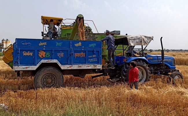 गेहूं निर्यात रोकने पर जी-7 ने की भारत की आलोचना
