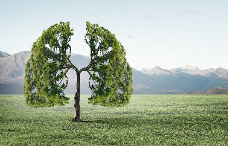 बजट से बाहर रहा पर्यावरण