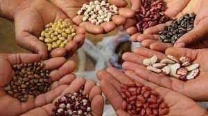 छत्तीसगढ़ राज्य जैविक प्रमाणीकरण संस्था को मिली जैविक उत्पाद के प्रमाणीकरण की मान्यता