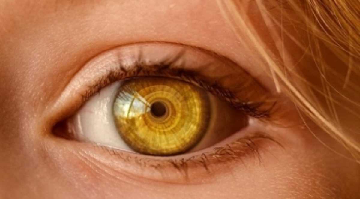 कानपुर : मोतियाबिंद के ऑपरेशन में छह की गई आंखों की रोशनी, जांच के आदेश