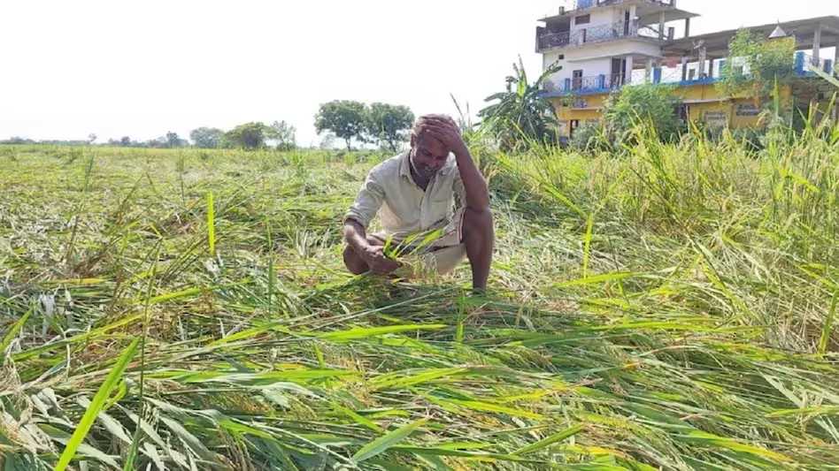 कैसे करें किसानी