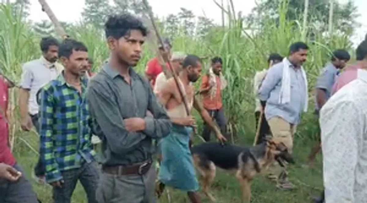 नरभक्षी भेड़ियों के हमले से लोगों में दहशत, वन विभाग और पुलिस की स्पेशल टीम तैनात