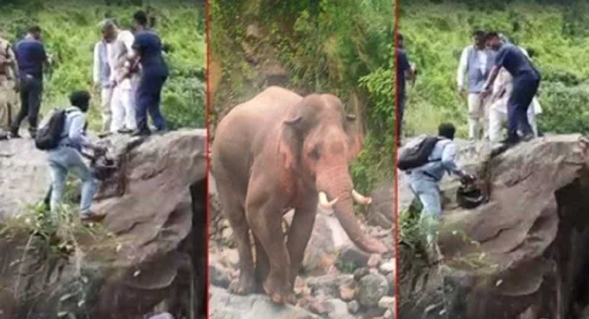 पूर्व सीएम त्रिवेंद्र सिंह रावत की गाड़ी के आगे आया हाथी, चट्टान पर चढ़कर बचाई जान पूर्व सीएम त्रिवेंद्र सिंह रावत की गाड़ी के आगे आया हाथी, चट्टान पर चढ़कर बचाई जान