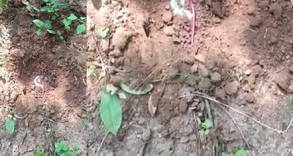 नक्सली अभियान में सीआरपीएफ को मिली बड़ी सफलता, दो राज्यों से 14 आईईडी बरामद