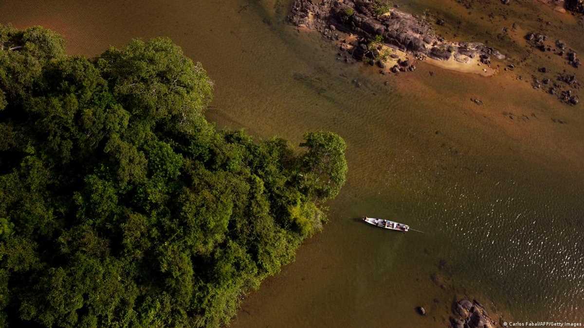 जबर्दस्त बीफ उत्पादन के बीच अमेजन के जंगलों को बचाने की चुनौती