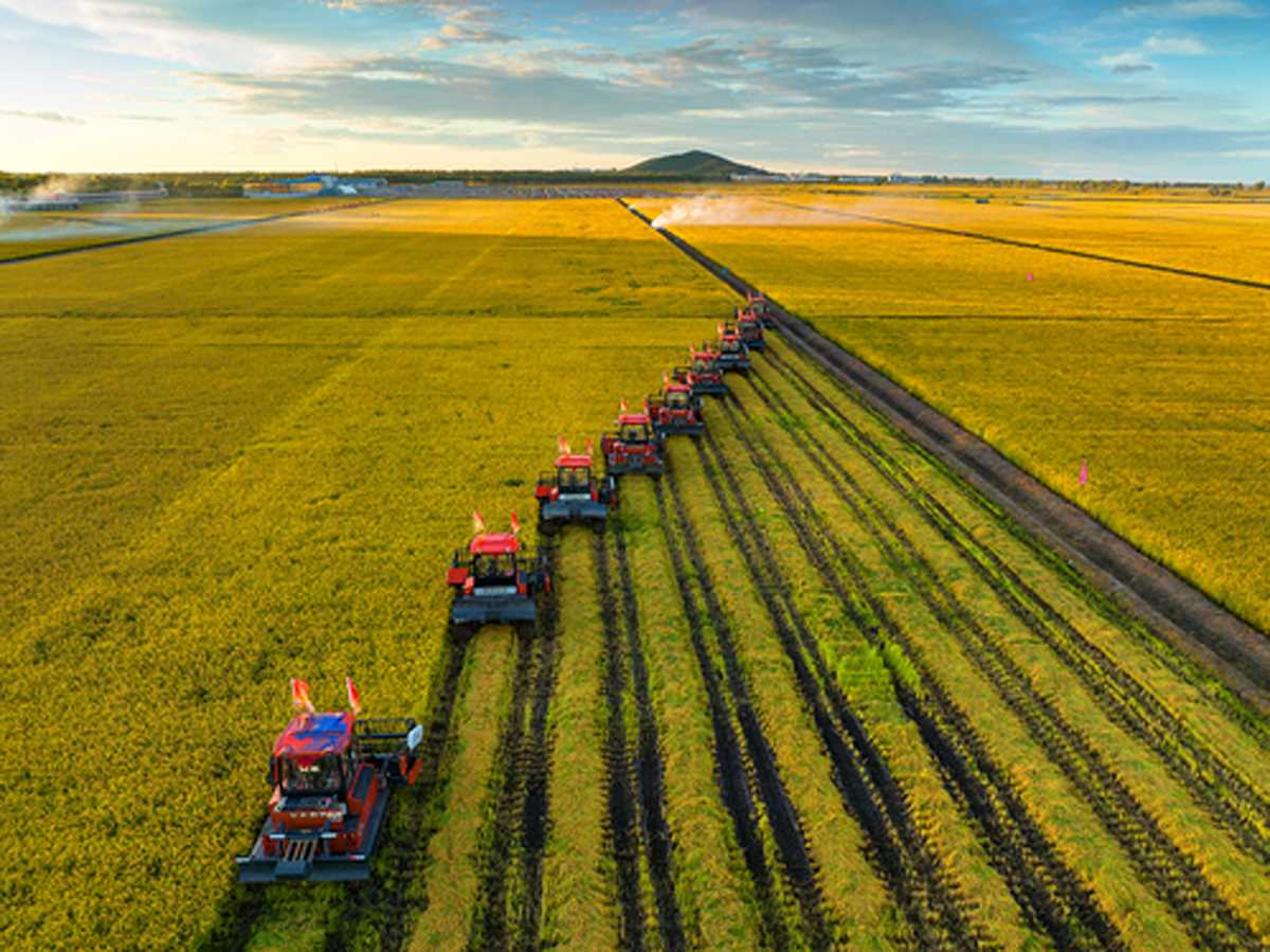 चीन में खेती योग्य भूमि का मजबूत संरक्षण