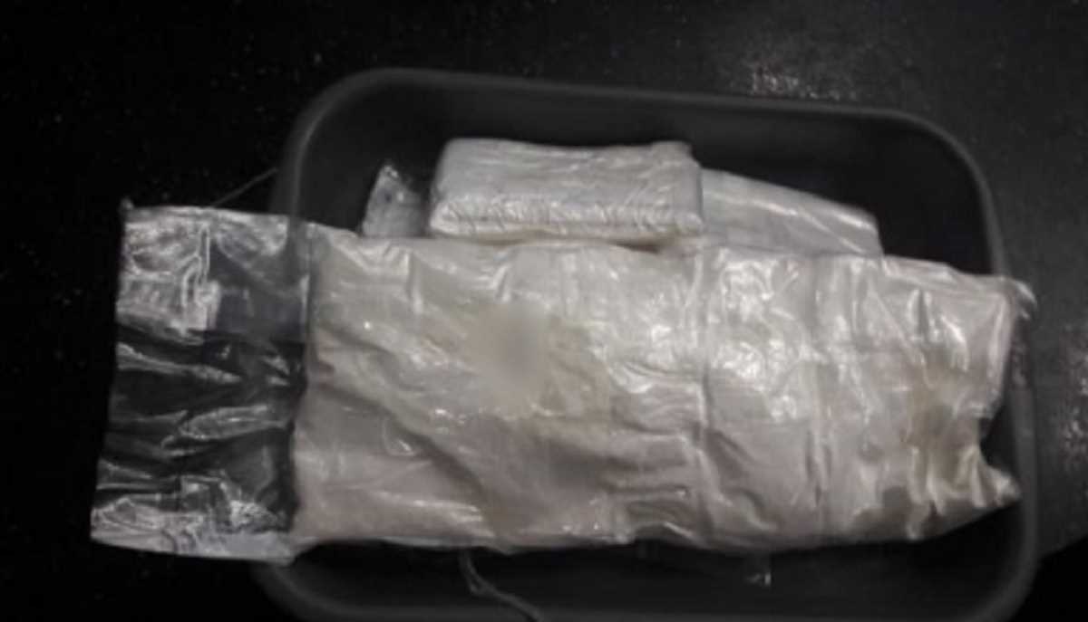 कैप्सूल में भरकर सात करोड़ की कोकीन की तस्करी कर रही थी महिला, गिरफ्तार कैप्सूल में भरकर सात करोड़ की कोकीन की तस्करी कर रही थी महिला, गिरफ्तार