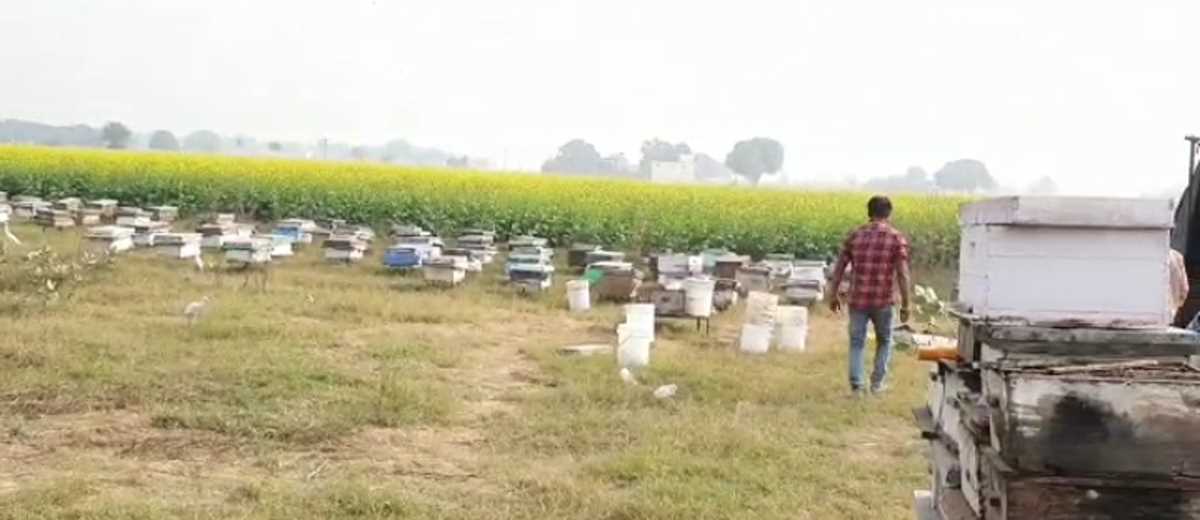 खुर्जा पुलिस की सक्रिय भूमिका के चलते नाकाम हुई शहद लूट की वारदात