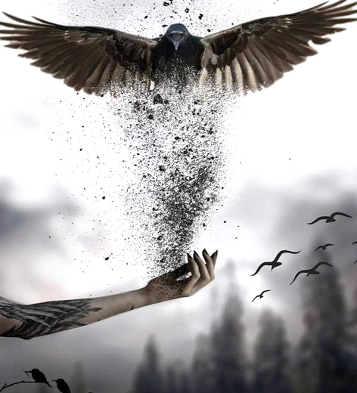 गर्दिश फिर गर्दिश!