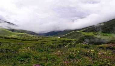 विश्व धरोहर फूलों की घाटी इन दिनों पर्यटकों से गुलजार विश्व धरोहर फूलों की घाटी इन दिनों पर्यटकों से गुलजार